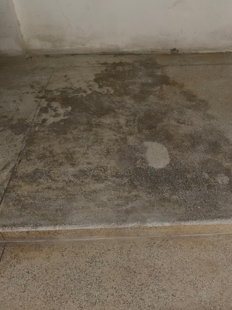 Phục Hồi Đá Bị Ố: Những Cách Để Đá Của Bạn Lại Đẹp Như Mới